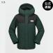 [27 день -5 день. бонус магазин +10%][ официальный ] Volcom Kids Stone.91 Insulated Jacket - Scarab все 1 цвет XS/S/M/L/XL/XXL VOLCOM