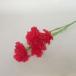 2670 гвоздика * красный 