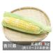  corn Dolce Dream approximately 4kg Kagawa prefecture production 