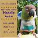  Birdie f-ti medium ~o черепаха длиннохвостый попугай okina длиннохвостый попугай 