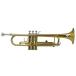 Vivace by Kurioshi Trumpet Outfit Including Case ¹͢