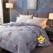  весна для летний осень для перья ... futon пуховый футон перья futon пуховый футон одиночный перья ватное одеяло перья .. futon перья futon пуховый футон перья . ватное одеяло одиночный размер 