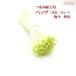  knob skill for pep( flower core *...) ultimate small yellow color l corsage knob skill raw materials accessory parts hair ornament material handicrafts flower core 