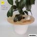 amabro дерево Circle tray 35 WOOD CIRCLE TRAY для помещений удобный товары из дерева крышка плантатора баловство предотвращение декоративное растение amabro