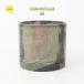  камуфляж цилиндр pot 20 цветочный горшок pra горшок CAMO кактус крепкий модный . корень растения много мясо ko- Dex диаметр 20cm высота 18cm пластик горшок 