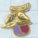  free shipping } fruit * import antique pin badge A00493