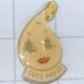  free shipping }CDTS arras * antique pin badge A00987