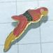  free shipping } bird parakeet parrot * import antique pin badge A01619