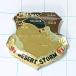  бесплатная доставка )1991ilak война десерт storm America импорт античный значок A09750