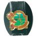  бесплатная доставка ) Дэйзи Duck Brazil Disney TDS значок PINS булавка zA14195