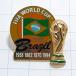  бесплатная доставка )FIFA World Cup Brazil Champion sip футбол значок булавка zPINS A31210