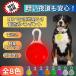  necklace shines shines necklace dog LED pendant light running walking walk safety nighttime 