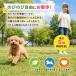 ���[�h �� �L�k �����O ���^�� ���^�� �L�т� ����� �L 5m 3�� ���b�N �y�� �y�� �U�� �֘A�摜3
