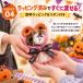 �n���E�B�� ���َq�u�[�P �v�`�M�t�g �Z�b�g �q���� �  �z�� �C�x���g �p�[�e�B�[ 6�� �֘A�摜5