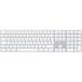 Apple Keyboard A1843-JIS MQ052J/A �ƥ󥭡��դ� Bluetooth��³  Lightning����