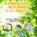 �r���v ���f�B�[�X �d�g�\�[���[ 50�� �h�� �������K�ۏ� �J�V�I �E�F�[�u�Z�v�^�[ �u���b�N �z���C�g �O���[�W��  LWA-M145 17,0 �v���[���g �֘A�摜4