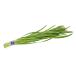  free shipping [ morning market direct line ] Ibaraki prefecture another .. garlic chive 1 bundle approximately 100g x2 piece set [ refrigeration ]