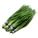 [ morning market direct line ] business use * free shipping Ibaraki prefecture another .. garlic chive ( approximately 100gx10 bundle ) approximately 1kg[ refrigeration ]