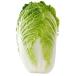 [ morning market direct line ] business use * free shipping Ibaraki prefecture another Chinese cabbage 6 piece entering ( case )[ refrigeration ]