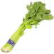[ morning market direct line ] business use * free shipping Shizuoka prefecture another cell Lee celery ( large stock ) approximately 1.3kg[ refrigeration ]
