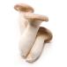  free shipping [ morning market direct line ] Niigata prefecture another king trumpet mushroom PC approximately 100g x2 piece set [ refrigeration ]