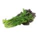 [ morning market direct line ] red mustard Karashi .( leaf tomato ) approximately 40~50g