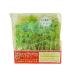 [ утро рынок прямой line ] микро трава (k Lazy pi-) упаковка Yamanashi префектура производство пестициды не использование [ рефрижератор ]