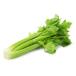 [ morning market direct line ] West vegetable celery ( large stock )(M size ) Shizuoka prefecture another approximately 1000g~1300g[ refrigeration ]