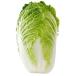 [ morning market direct line flight ] business use Chinese cabbage Ibaraki prefecture other 1 case (4 piece insertion )[ refrigeration ]