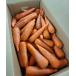 [. пестициды ] Niigata. морковь ( мытье ) примерно 10kg коробка [ рефрижератор ]
