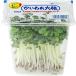 [ special cultivation ] Gifu prefecture . crack (.. crack ) daikon radish pot approximately 60g x2 piece set [ refrigeration ]