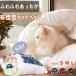  кошка для . futon домашнее животное bed спальный мешок подушка подушка имеется ... . домик для кошек симпатичный ... кошка товары ... стирка возможность теплый тубус type 