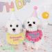  собака для нагрудник день рождения шляпа комплект собака кошка товары happy день рождения слюнявчик праздник фотография фотосъемка европейская одежда симпатичный домашнее животное товары маленький размер собака нагрудник шея .. собака сопутствующие товары 