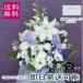  lily . go in ..... flower white & blue * purple ..... flower tray flower the first tray .... life day .. flower .... flower . flower 