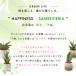 �ϗt�A�� �T���X�x���A 5�� �K�^�̖� ���� �C���e���A �I�V���� �J�X�j�� �V�z�j�� �A�E�j�� �֘A�摜3