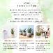 �ϗt�A�� �T���X�x���A 5�� �K�^�̖� ���� �C���e���A �I�V���� �J�X�j�� �V�z�j�� �A�E�j�� �֘A�摜5