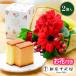 �� ���َq ���� �X�C�[�c �M�t�g �a���� ���ԕt�� �����D���t���[�c�J�X�e�� �� ����8�{�Z�b�g �v���[���g ���� 40�� 50�� 60��