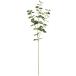  Tokyo . искусственный цветок MAGIQmona-k eucalyptus green лист L2.8~6×L76cm FG003295-024