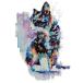 cat and colors counted cross stitch kits 14 ct, кошка . цвет, Cross стежок комплект 220x 299po in 