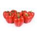 GuCra подлинный товар целиком . овощи модель паприка 8 шт упаковка образец блюда ( красный EX)