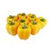 GuCra подлинный товар целиком . овощи модель паприка 8 шт упаковка образец блюда ( желтый EX)