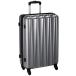 [ viva -she] чемодан застежка-молния TSA блокировка дождевик имеется 52L 62 cm 3.8kg YZ-H-S серебряный 