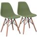 o- SJ Eames chair poly- Pro pi Len 2 legs avocado green PP194236FAA