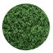  зеленый штат служащих world Land scape для пудра leaf medium зеленый (200ml) хобби для материалы GSWD-11176