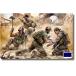 ma Starbo ks1/35. промежуток армия . фирма воин 4 body [. машина ..] пластиковая модель MB35207