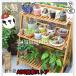  flower stand wooden 2 step 3 step 4 step 5 step 6 step folding outdoors interior planter stand garden rack stand for flower vase plant pot stylish gardening rack stand for flower vase garden rack 