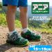 ania Kids спортивные туфли жук-носорог vs рогач 15~19cm насекомое Hercules oo Kabuto уличный обувь обувь мужчина ребенок спортивная обувь товары 51031