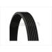 CONTINENTAL  VW ѥ B6 å  2.0TSI ե٥ 06F260849L 028903137AS 6PK1054