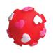  Pooh Pooh собака мяч S Heart RDPT-DBT-1-4 ( S, красный ) China 