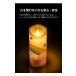 LED�L�����h�� ���̋� �������A���L�����h�� LED���[�\�N ���d �낤���� ������ �y�b�g���{ �y�b�g�������A�� �΂��g��Ȃ� ���S ���� 807299 �֘A�摜3
